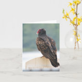 kalkoengier-briefkaart kaart (Gele Bloem)