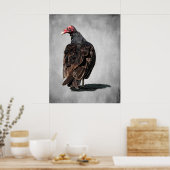 KALKOENGIER BUZZARD POSTER (Keuken)