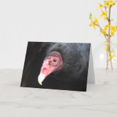 kalkoengier foto kaart (Gele Bloem)