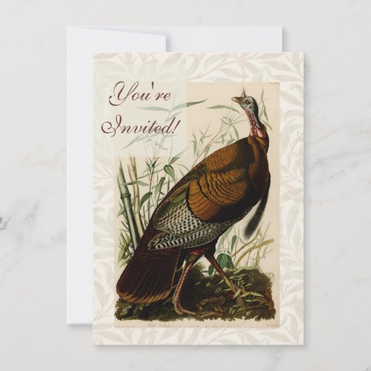 Kalkoense wilde Audubon vogel schildering Kaart (Voorkant)