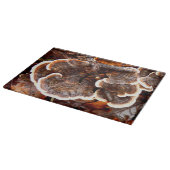 kalkoenstaarten schimmels glas hakplank snijplank (Hoek)