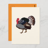 kalkoenvogel briefkaart (Voorkant / Achterkant)