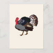 kalkoenvogel briefkaart (Voorkant)