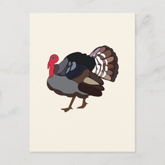 kalkoenvogel briefkaart (Voorkant)