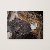 Kalkstaarten Legpuzzel (Horizontaal)