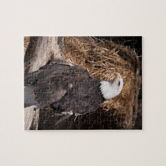 Kalkstaarten Legpuzzel (Horizontaal)