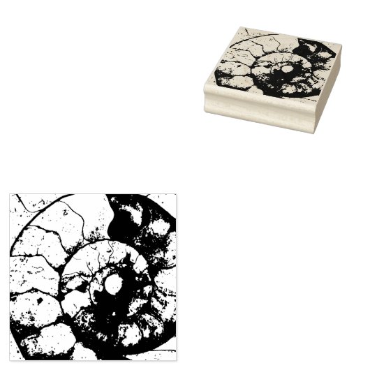 Kalksteen-ammonietfossiel Rubberstempel (Gestempeld)