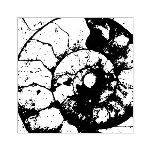 Kalksteen-ammonietfossiel Rubberstempel (Afrduk)