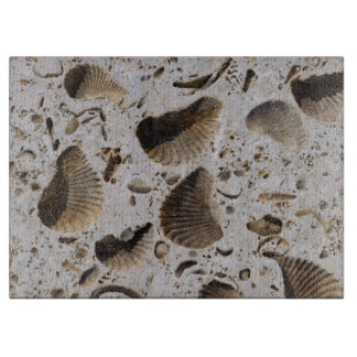 Kalksteen Fossils Snijplank
