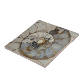 Kalksteenammoniaat Tegeltje (Zijkant)