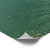 Kalksteenkliffen en smaragdgroen water poster (Hoek)