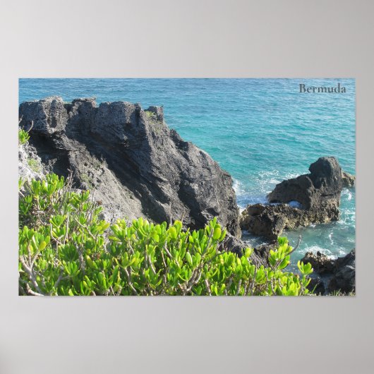 Kalkstenen kliffen bij Hoefijzer Bay, Bermuda Poster (Voorkant)