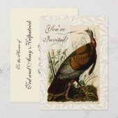Kalkuun Wild Audubon Vogel Schilderij Kaart (Voorkant / Achterkant)
