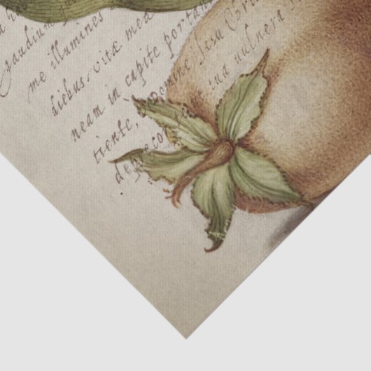 Kalligrafie (Dragonfly, anjers en peren) weefsel Tissuepapier (Detail)