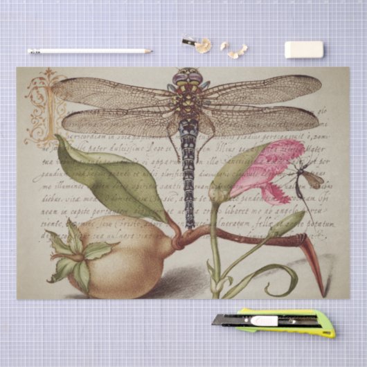 Kalligrafie (Dragonfly, anjers en peren) weefsel Tissuepapier (Craft)