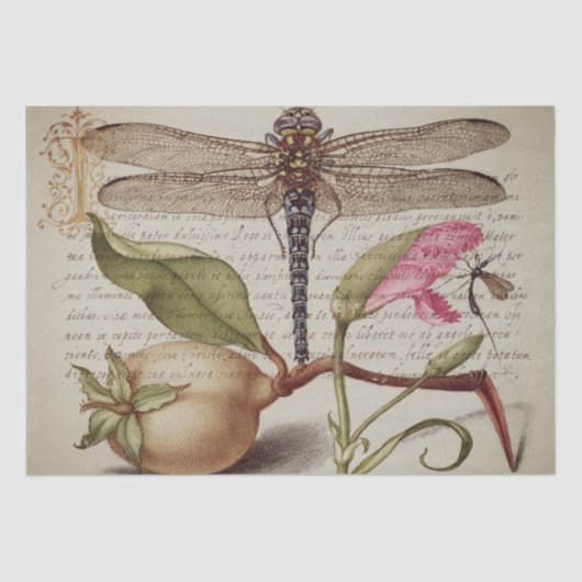 Kalligrafie (Dragonfly, anjers en peren) weefsel Tissuepapier (Voorkant)
