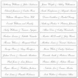 Kalligrafie Gast Namen Labels Transparant