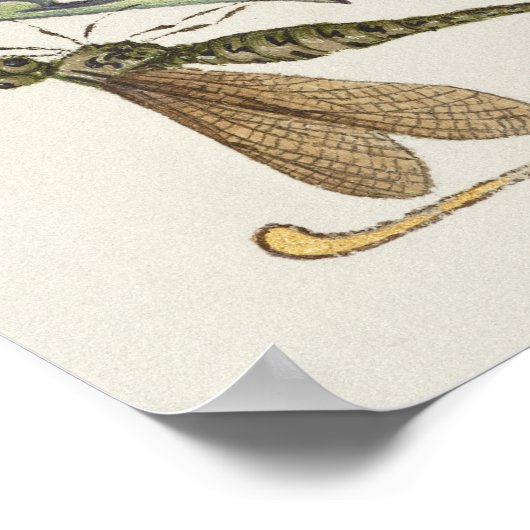 kalligrafie poster (Hoek)