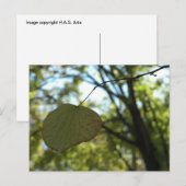 Kalm aan Chartreuse Briefkaart (Voorkant / Achterkant)