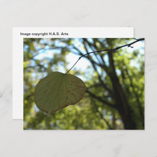 Kalm aan Chartreuse Briefkaart (Voorkant / Achterkant)