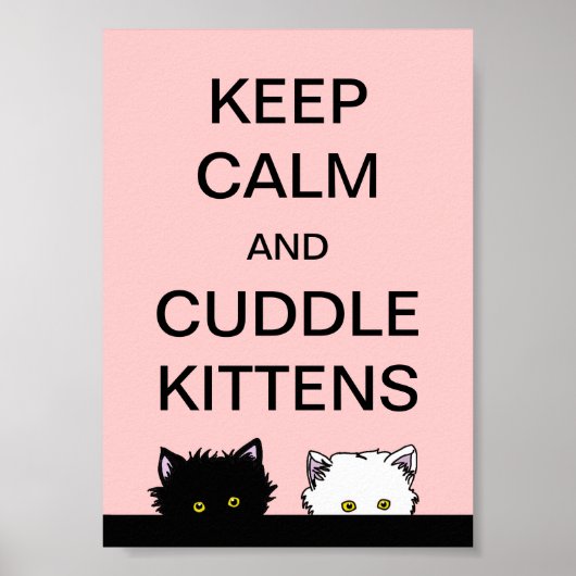 Kalm aan Kittens houden Poster (Voorkant)