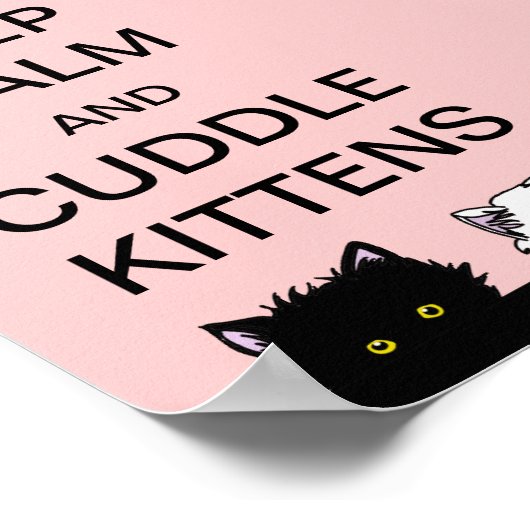 Kalm aan Kittens houden Poster (Hoek)