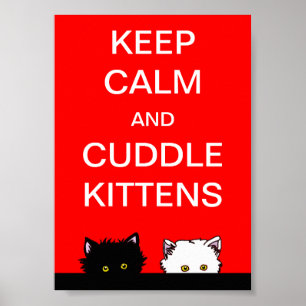 Kalm aan Kittens houden Poster