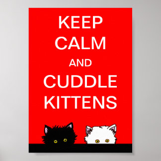 Kalm aan Kittens houden Poster