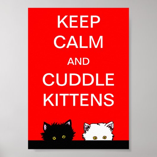 Kalm aan Kittens houden Poster (Voorkant)