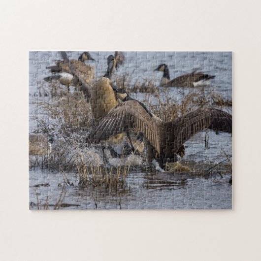 Kalm aan legpuzzel (Horizontaal)