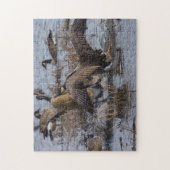 Kalm aan legpuzzel (Verticaal)