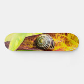 kalm aanhechtend skateboard (Horizontaal)