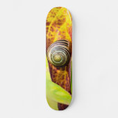 kalm aanhechtend skateboard (Voorkant)