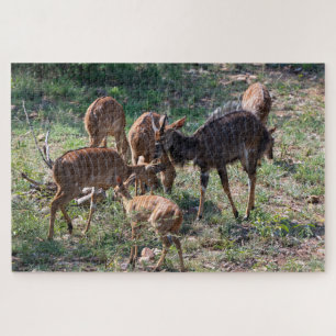 Kalm Antilope – Afrikaanse Natuur Legpuzzel