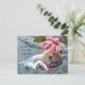 Kalm briefkaart voor kattencomfort (Staand voorkant)