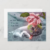 Kalm briefkaart voor kattencomfort (Voorkant / Achterkant)