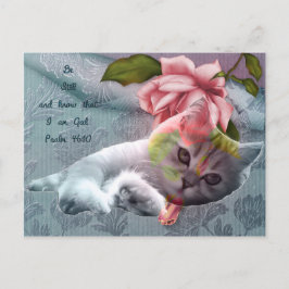 Kalm briefkaart voor kattencomfort