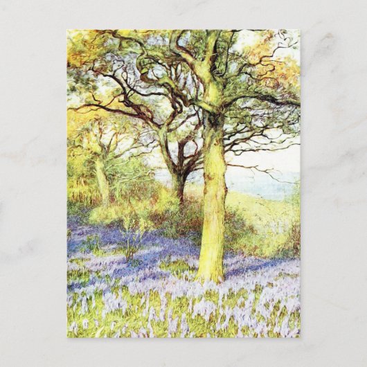 Kalm- en bloemlandschap briefkaart (Voorkant)