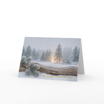 “Kalm en helder vanuit het winterbos”