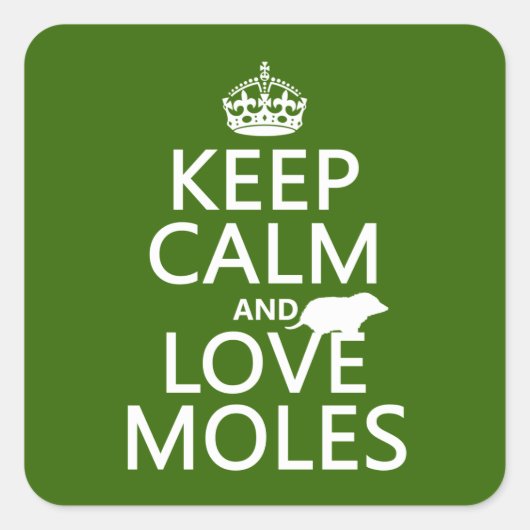 Kalm- en liefdesmodellen behouden (elke achtergron vierkante sticker (Voorkant)