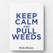 Kalm- en saakkwalsen houden fotoplaat (voorkant)