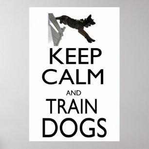 Kalm- en trainingshonden houden poster