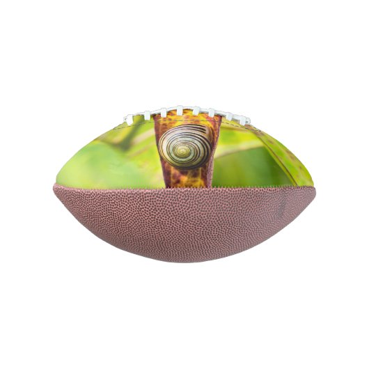 kalm gehecht american football (Gedraaid 90)