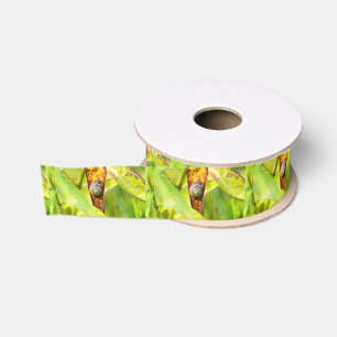 kalm gehecht grosgrain lint