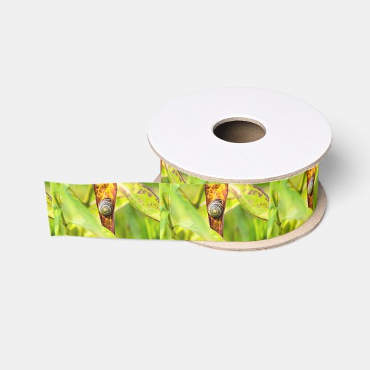 kalm gehecht grosgrain lint (Spoel)