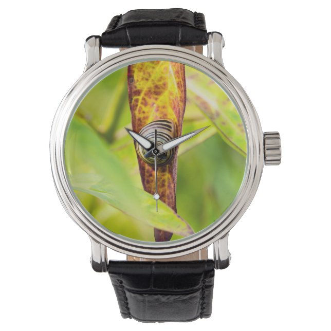kalm gehecht horloge (Voorkant)