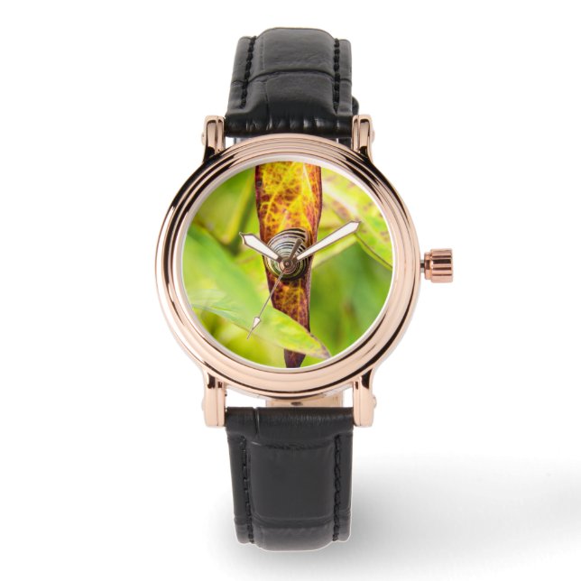 kalm gehecht horloge (Voorkant)