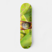 kalm gehecht persoonlijk skateboard (Voorkant)