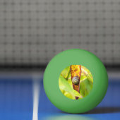 kalm gehecht pingpongbal (Net)