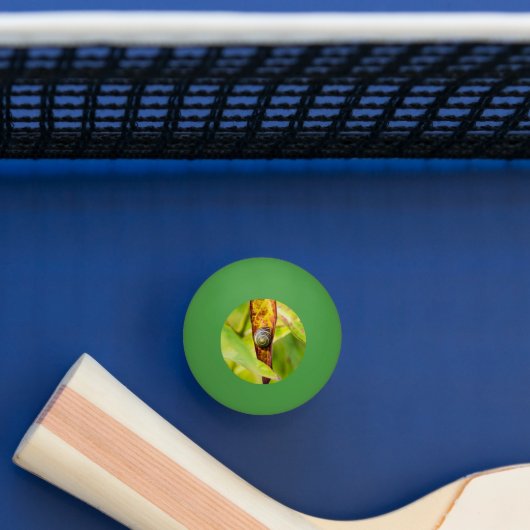 kalm gehecht pingpongbal (Tafel)